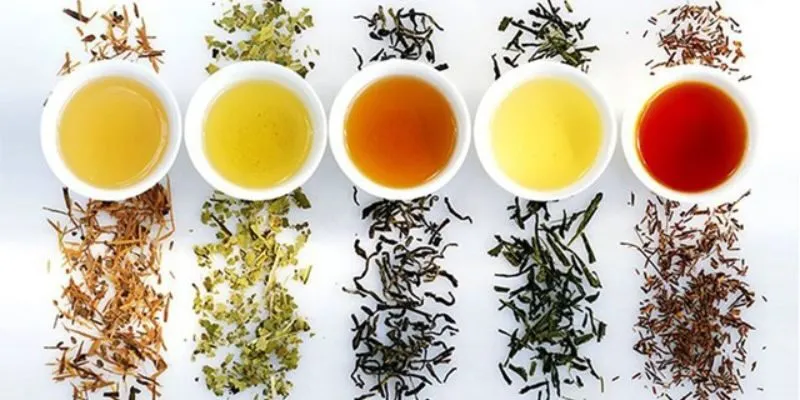 Tanin Trà Sương Mai có tác dụng
