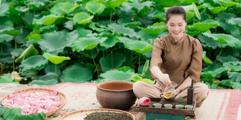 Trà Sen Sương Mai