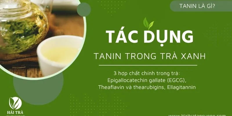 Tanin Trà Sương Mai có tác dụng